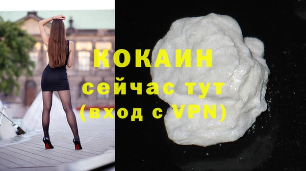 дживик Абаза