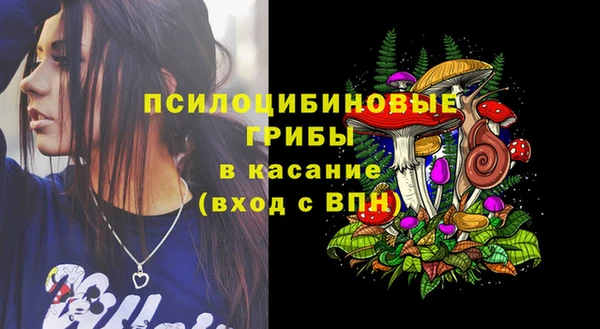 дживик Абаза